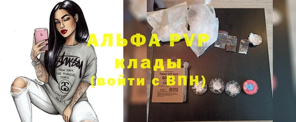 крисы Богородицк