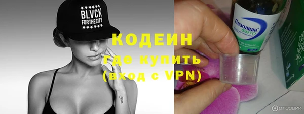 крисы Богородицк