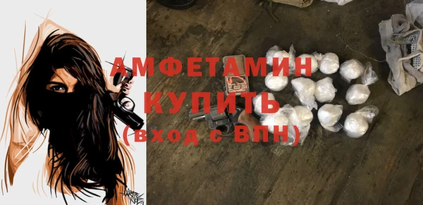 крисы Богородицк