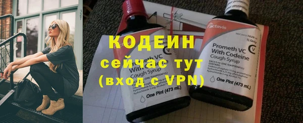 крисы Богородицк