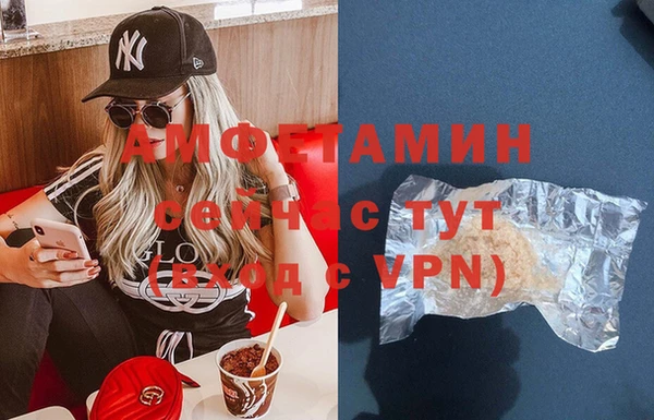 крисы Богородицк