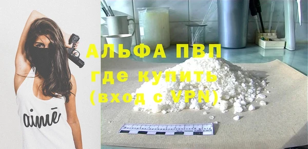 крисы Богородицк