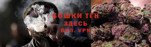 крисы Богородицк