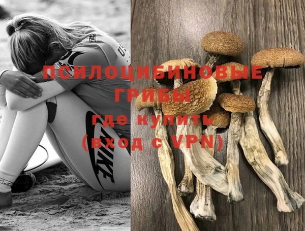крисы Богородицк